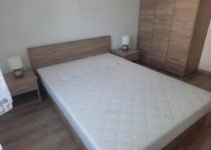 Za świerkami Apartament *