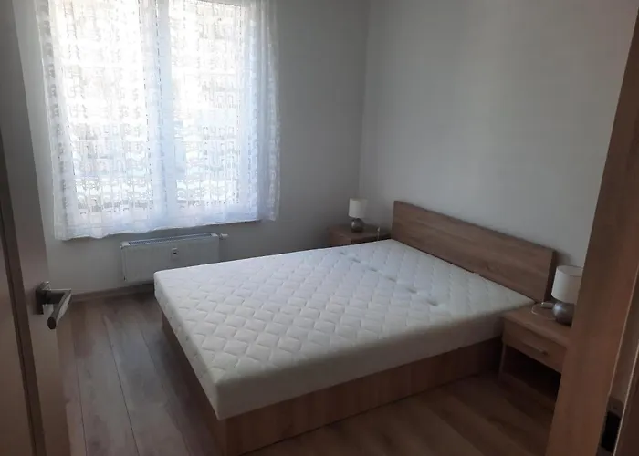 Apartament Za świerkami *